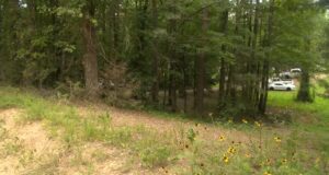 Niño de 7 años muere tras ataque de perro en condado Chilton Niño de 7 años muere tras ataque de perro en condado Chilton