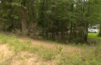 Niño de 7 años muere tras ataque de perro en condado Chilton Niño de 7 años muere tras ataque de perro en condado Chilton