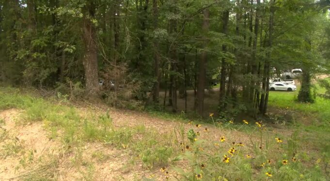 Niño de 7 años muere tras ataque de perro en condado Chilton Niño de 7 años muere tras ataque de perro en condado Chilton