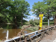 EEUU advierte nuevas tormentas en Texas y Nuevo México tras recientes inundaciones EEUU advierte nuevas tormentas en Texas y Nuevo México tras recientes inundaciones
