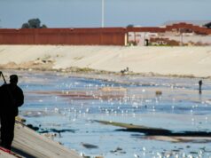 Expertos mexicanos proponen plan para gestionar aguas transfronterizas con EE.UU. Expertos mexicanos proponen plan para gestionar aguas transfronterizas con EE.UU.