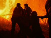 Incendios en Siria arrasan 14.000 hectáreas y continúan por sexto día Incendios en Siria arrasan 14.000 hectáreas y continúan por sexto día