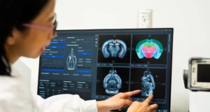 Los sorprendentes beneficios cognitivos de la creatina Los sorprendentes beneficios cognitivos de la creatina