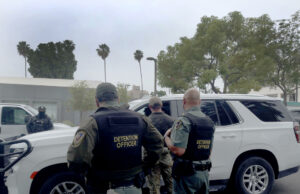 Trabajador agrícola muere al caer de techo durante redada en granja californiana Trabajador agrícola muere al caer de techo durante redada en granja californiana