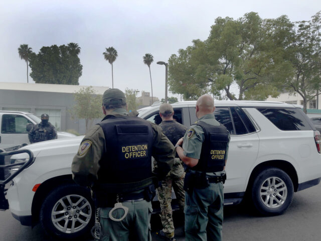 Trabajador agrícola muere al caer de techo durante redada en granja californiana