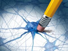 Científicos descubren compuestos naturales que eliminan las proteínas del Alzheimer Científicos descubren compuestos naturales que eliminan las proteínas del Alzheimer