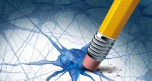 Científicos descubren compuestos naturales que eliminan las proteínas del Alzheimer Científicos descubren compuestos naturales que eliminan las proteínas del Alzheimer