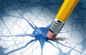 Científicos descubren compuestos naturales que eliminan las proteínas del Alzheimer Científicos descubren compuestos naturales que eliminan las proteínas del Alzheimer