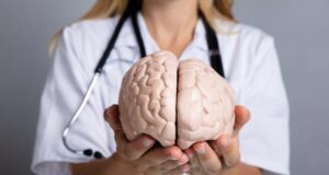 Un pesticida común se vincula a anormalidades cerebrales en niños Un pesticida común se vincula a anormalidades cerebrales en niños