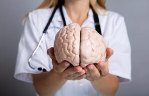 Un pesticida común se vincula a anormalidades cerebrales en niños Un pesticida común se vincula a anormalidades cerebrales en niños