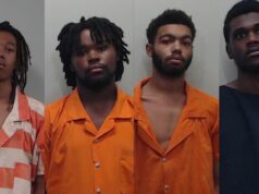 Arrestan a 5 personas después de 2 tiroteos en residencias del condado de Chilton Arrestan a 5 personas después de 2 tiroteos en residencias del condado de Chilton