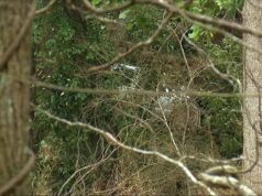 Condado de Cleburne de luto por la pérdida de un joven en inundaciones Condado de Cleburne de luto por la pérdida de un joven en inundaciones