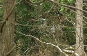 Condado de Cleburne de luto por la pérdida de un joven en inundaciones Condado de Cleburne de luto por la pérdida de un joven en inundaciones