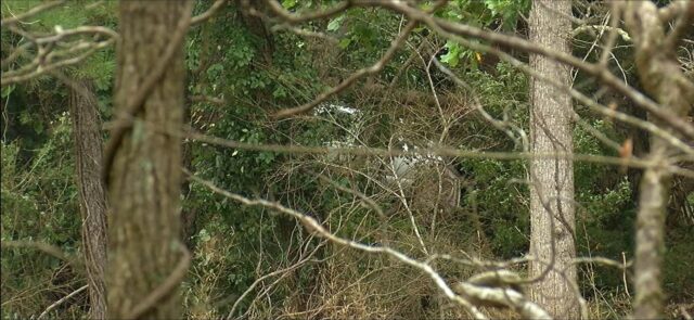 Condado de Cleburne de luto por la pérdida de un joven en inundaciones