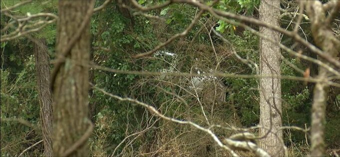 Condado de Cleburne de luto por la pérdida de un joven en inundaciones Condado de Cleburne de luto por la pérdida de un joven en inundaciones