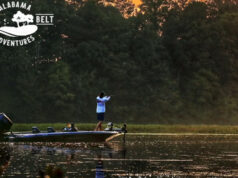Alabama Black Belt Adventures Association tiene dos nuevos miembros en la junta Alabama Black Belt Adventures Association tiene dos nuevos miembros en la junta