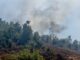 Equipos continúan extinguiendo incendio que consumió 500 hectáreas en Marruecos Equipos continúan extinguiendo incendio que consumió 500 hectáreas en Marruecos