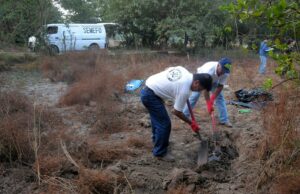 Hallan 32 cuerpos en una fosa clandestina en el estado de Guanajuato Hallan 32 cuerpos en una fosa clandestina en el estado de Guanajuato