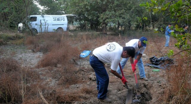 Hallan 32 cuerpos en una fosa clandestina en el estado de Guanajuato Hallan 32 cuerpos en una fosa clandestina en el estado de Guanajuato