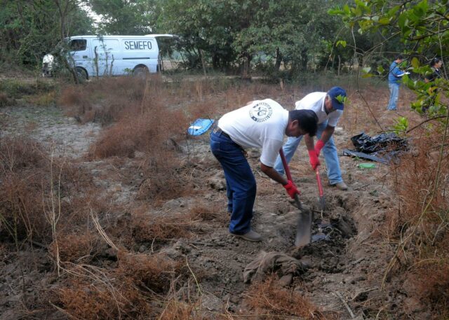 Hallan 32 cuerpos en una fosa clandestina en el estado de Guanajuato