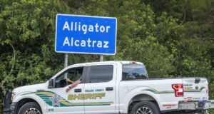 Jueza ordena desmantelar ‘Alligator Alcatraz’, centro migratorio, en 60 días Jueza ordena desmantelar 'Alligator Alcatraz', centro migratorio, en 60 días