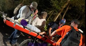 Hombre de Alabama rescatado tras mordedura de serpiente en misión peligrosa Hombre de Alabama rescatado tras mordedura de serpiente en misión peligrosa