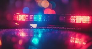 Mujer muere y varias resultan heridas tras ataque de perro en el condado de Blount Mujer muere y varias resultan heridas tras ataque de perro en el condado de Blount