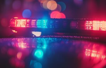 Mujer muere y varias resultan heridas tras ataque de perro en el condado de Blount Mujer muere y varias resultan heridas tras ataque de perro en el condado de Blount