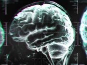 Científicos alertan fallos en guías de Vitamina B12 y riesgo para la salud cerebral Científicos alertan fallos en guías de Vitamina B12 y riesgo para la salud cerebral