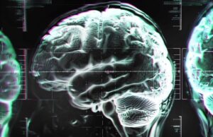 Científicos alertan fallos en guías de Vitamina B12 y riesgo para la salud cerebral Científicos alertan fallos en guías de Vitamina B12 y riesgo para la salud cerebral