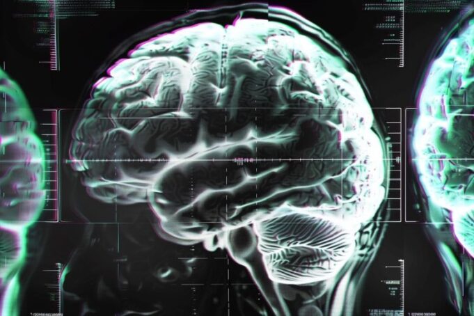 Científicos alertan fallos en guías de Vitamina B12 y riesgo para la salud cerebral Científicos alertan fallos en guías de Vitamina B12 y riesgo para la salud cerebral