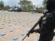 Decomisan 600 kilos de cocaína y marihuana en tres operaciones antidrogas en Bolivia Decomisan 600 kilos de cocaína y marihuana en tres operaciones antidrogas en Bolivia