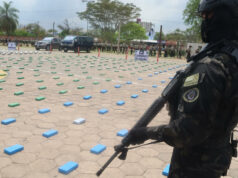 Decomisan 600 kilos de cocaína y marihuana en tres operaciones antidrogas en Bolivia Decomisan 600 kilos de cocaína y marihuana en tres operaciones antidrogas en Bolivia