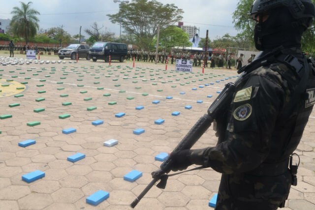 Decomisan 600 kilos de cocaína y marihuana en tres operaciones antidrogas en Bolivia