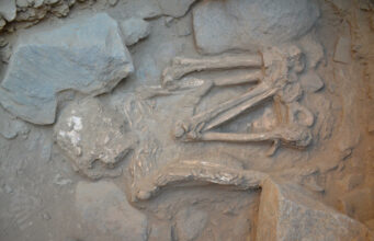 Descubren tumbas inéditas de 4.500 años en Perú, dentro del valle de Moche Descubren tumbas inéditas de 4.500 años en Perú, dentro del valle de Moche