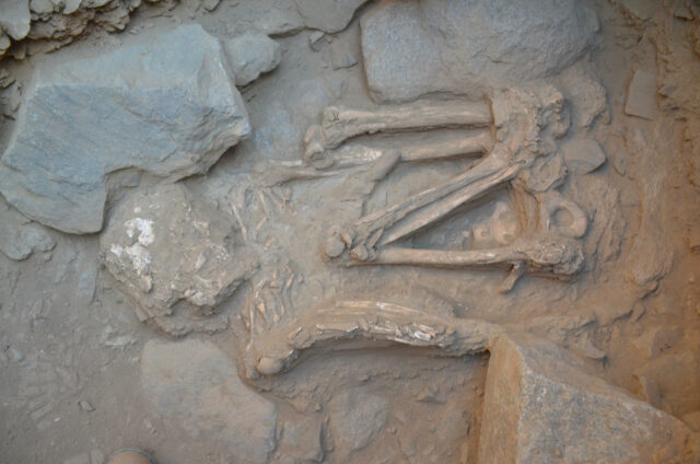 Descubren tumbas inéditas de 4.500 años en Perú, dentro del valle de Moche