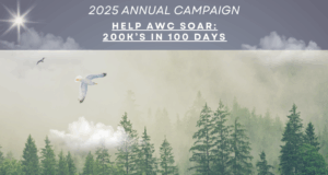 El Alabama Wildlife Center lanza la campaña “100 días para volar” con una meta de $200,000 para la atención de aves El Alabama Wildlife Center lanza la campaña "100 días para volar" con una meta de $200,000 para la atención de aves