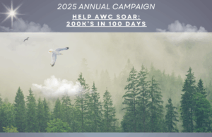 El Alabama Wildlife Center lanza la campaña “100 días para volar” con una meta de $200,000 para la atención de aves El Alabama Wildlife Center lanza la campaña "100 días para volar" con una meta de $200,000 para la atención de aves