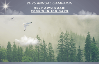 El Alabama Wildlife Center lanza la campaña “100 días para volar” con una meta de $200,000 para la atención de aves El Alabama Wildlife Center lanza la campaña "100 días para volar" con una meta de $200,000 para la atención de aves