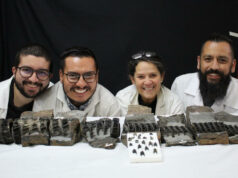 El tiburón gigante fósil más completo del mundo hallado en Colombia El tiburón gigante fósil más completo del mundo hallado en Colombia