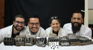 El tiburón gigante fósil más completo del mundo hallado en Colombia El tiburón gigante fósil más completo del mundo hallado en Colombia