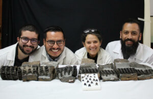 El tiburón gigante fósil más completo del mundo hallado en Colombia El tiburón gigante fósil más completo del mundo hallado en Colombia