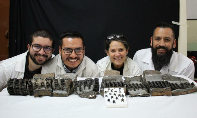 El tiburón gigante fósil más completo del mundo hallado en Colombia El tiburón gigante fósil más completo del mundo hallado en Colombia