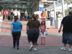 Retiran estudio sobre el vinagre de manzana, su pérdida de peso no es fiable Retiran estudio sobre el vinagre de manzana, su pérdida de peso no es fiable