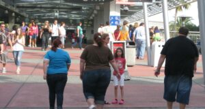 Retiran estudio sobre el vinagre de manzana, su pérdida de peso no es fiable Retiran estudio sobre el vinagre de manzana, su pérdida de peso no es fiable