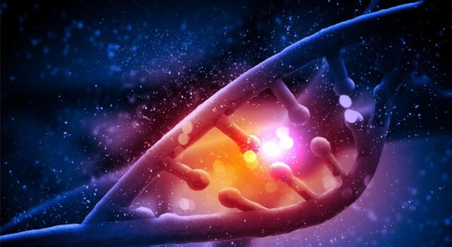 Científicos descubren una nueva enfermedad genética detrás de una misteriosa debilidad muscular Científicos descubren una nueva enfermedad genética detrás de una misteriosa debilidad muscular