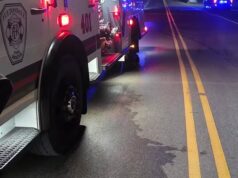 Hombre de 85 años de Fultondale hallado muerto junto a un vehículo en llamas Hombre de 85 años de Fultondale hallado muerto junto a un vehículo en llamas