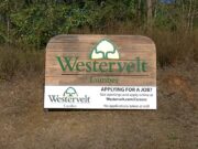 Trabajador muere en accidente industrial en Westervelt Lumber Trabajador muere en accidente industrial en Westervelt Lumber