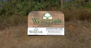 Trabajador muere en accidente industrial en Westervelt Lumber Trabajador muere en accidente industrial en Westervelt Lumber