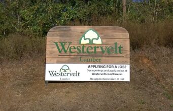 Trabajador muere en accidente industrial en Westervelt Lumber Trabajador muere en accidente industrial en Westervelt Lumber